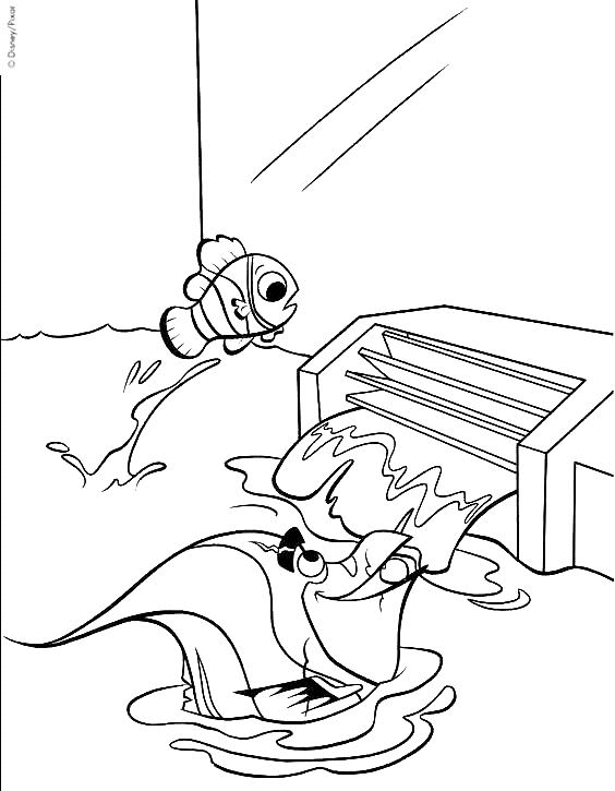 coloriage nemo saute la cascade